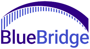 BlueBridge Networks logo